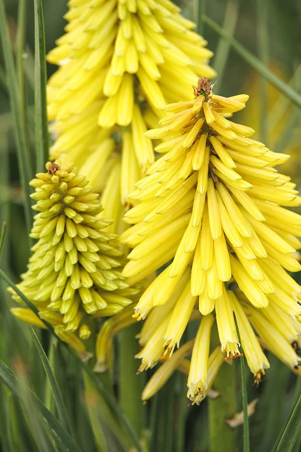 ©Monrovia, by Doreen Wynja