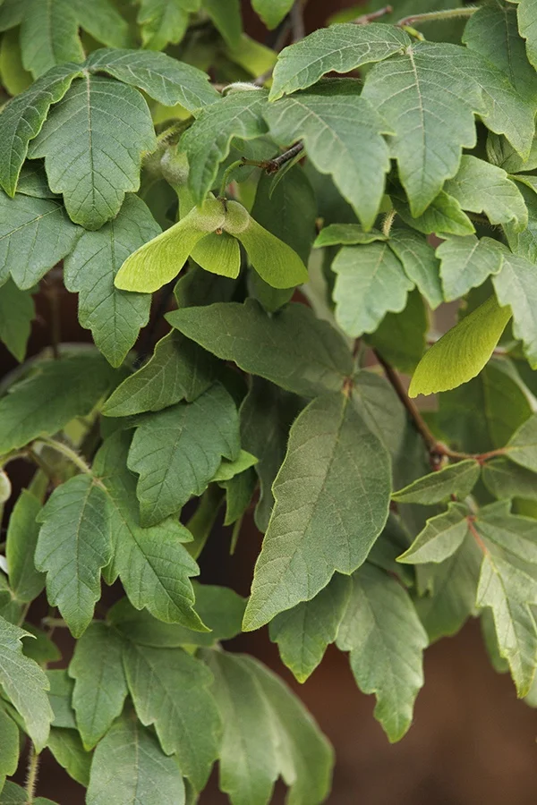 ©Monrovia, by Doreen Wynja