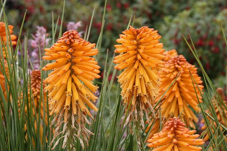 ©DoreenWynja.com photography