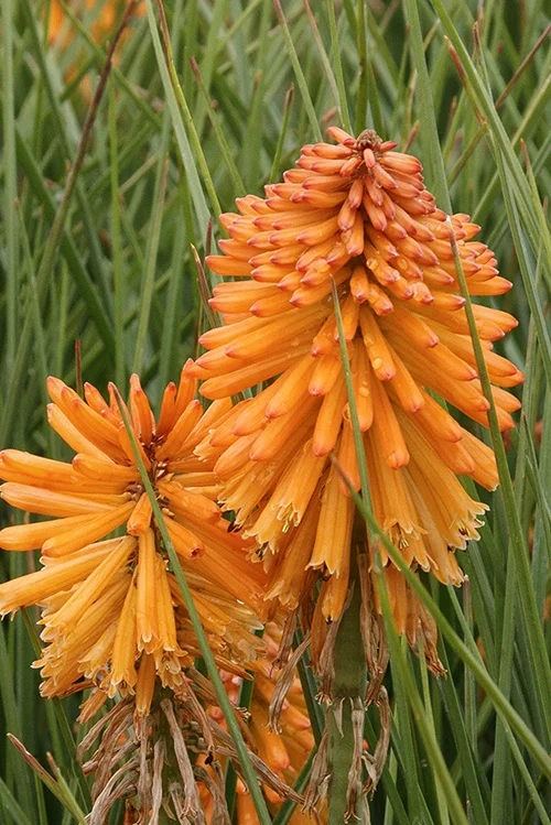 ©DoreenWynja.com photography