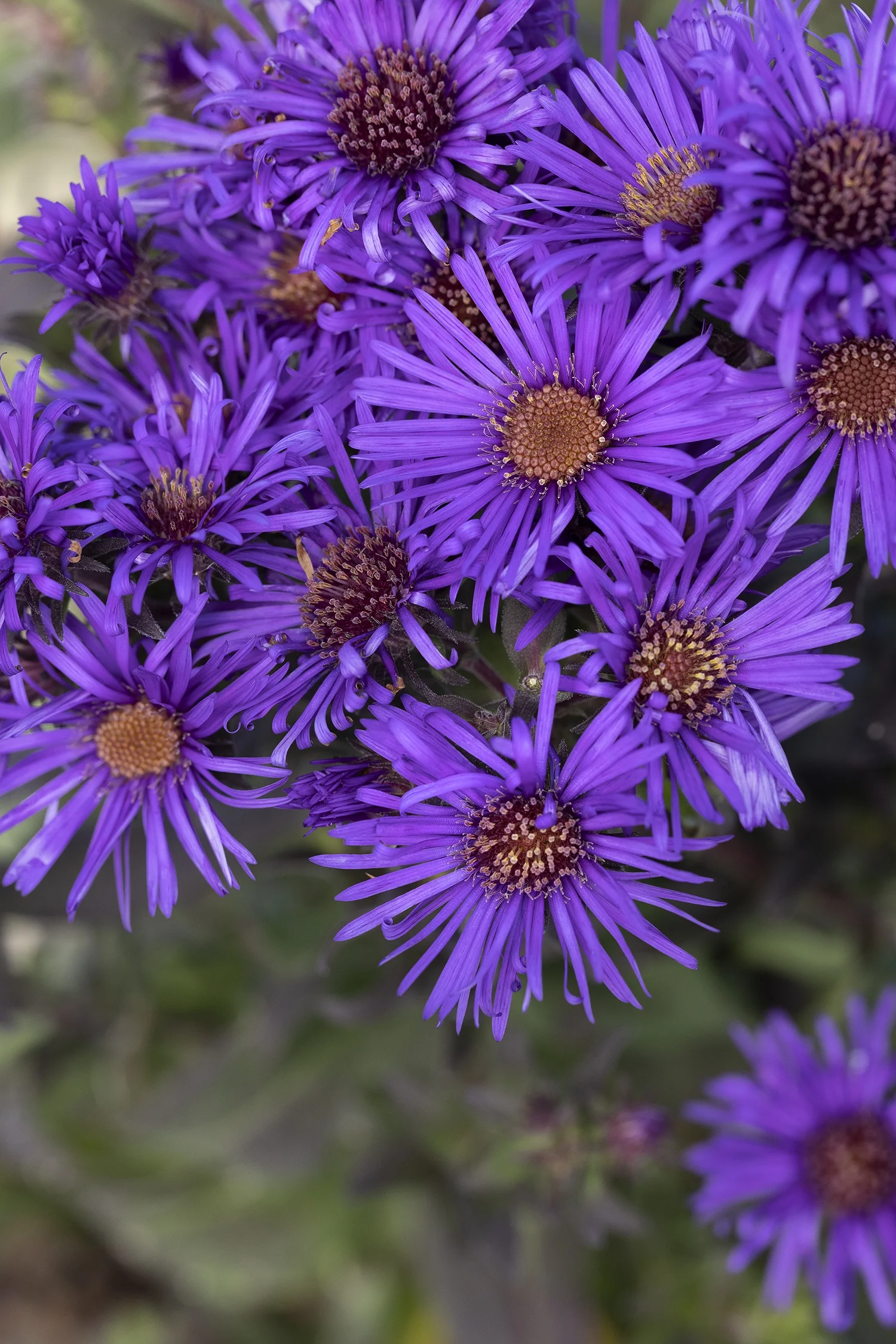 © Monrovia by Doreen Wynja