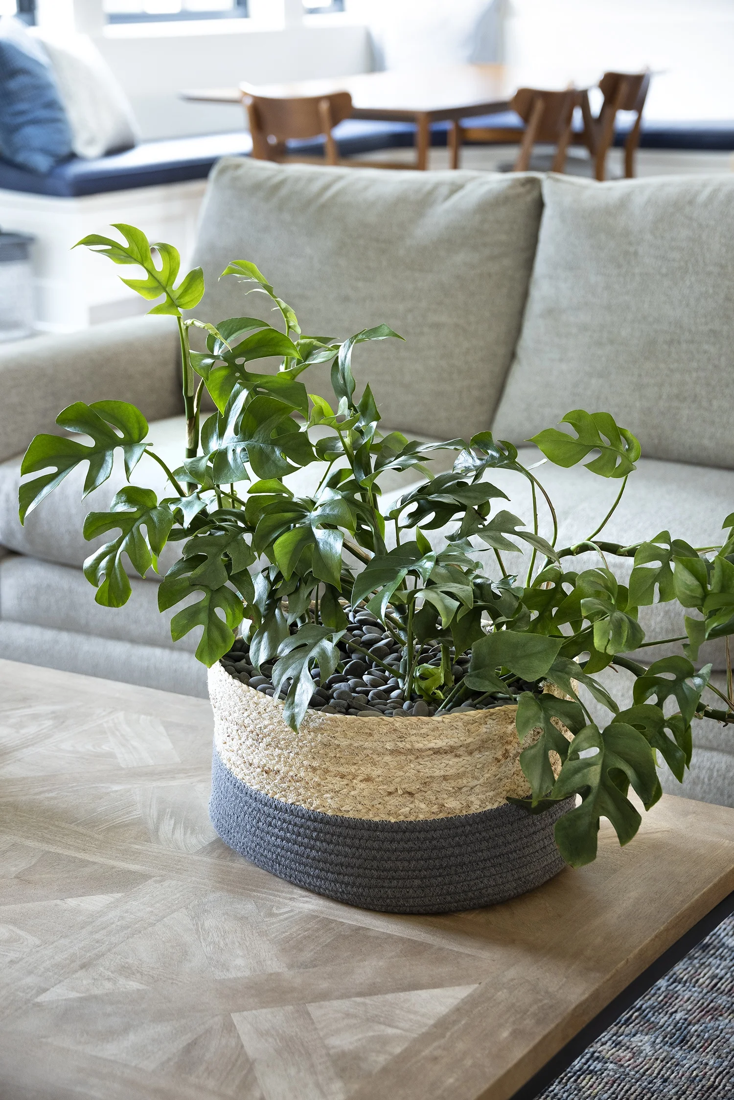 ©Monrovia, by Doreen Wynja