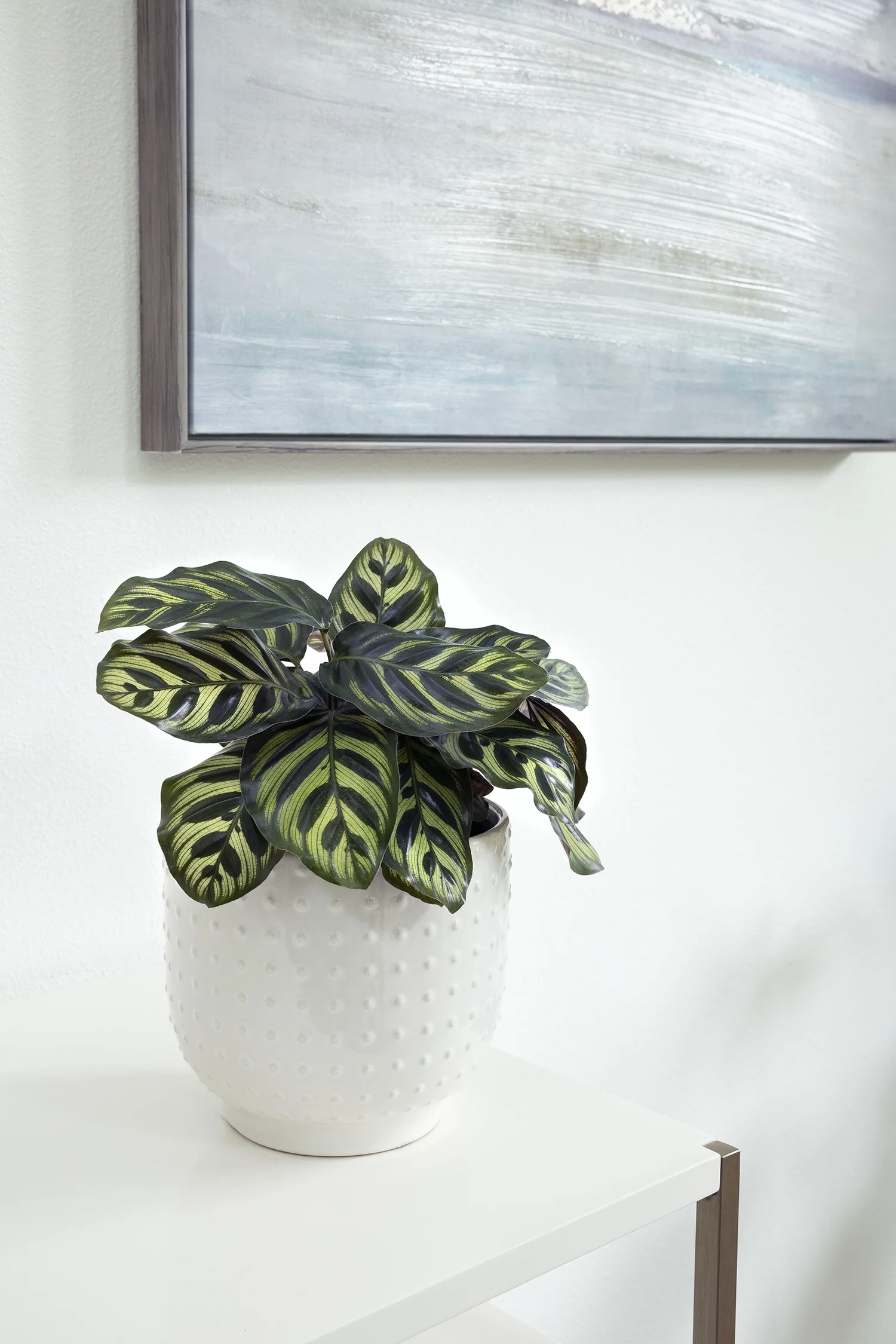 © Monrovia by Doreen Wynja