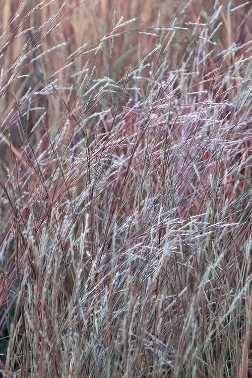 ©DoreenWynja.com photography