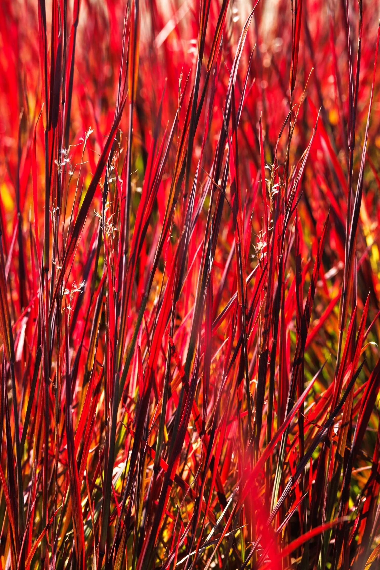 © Monrovia by Doreen Wynja