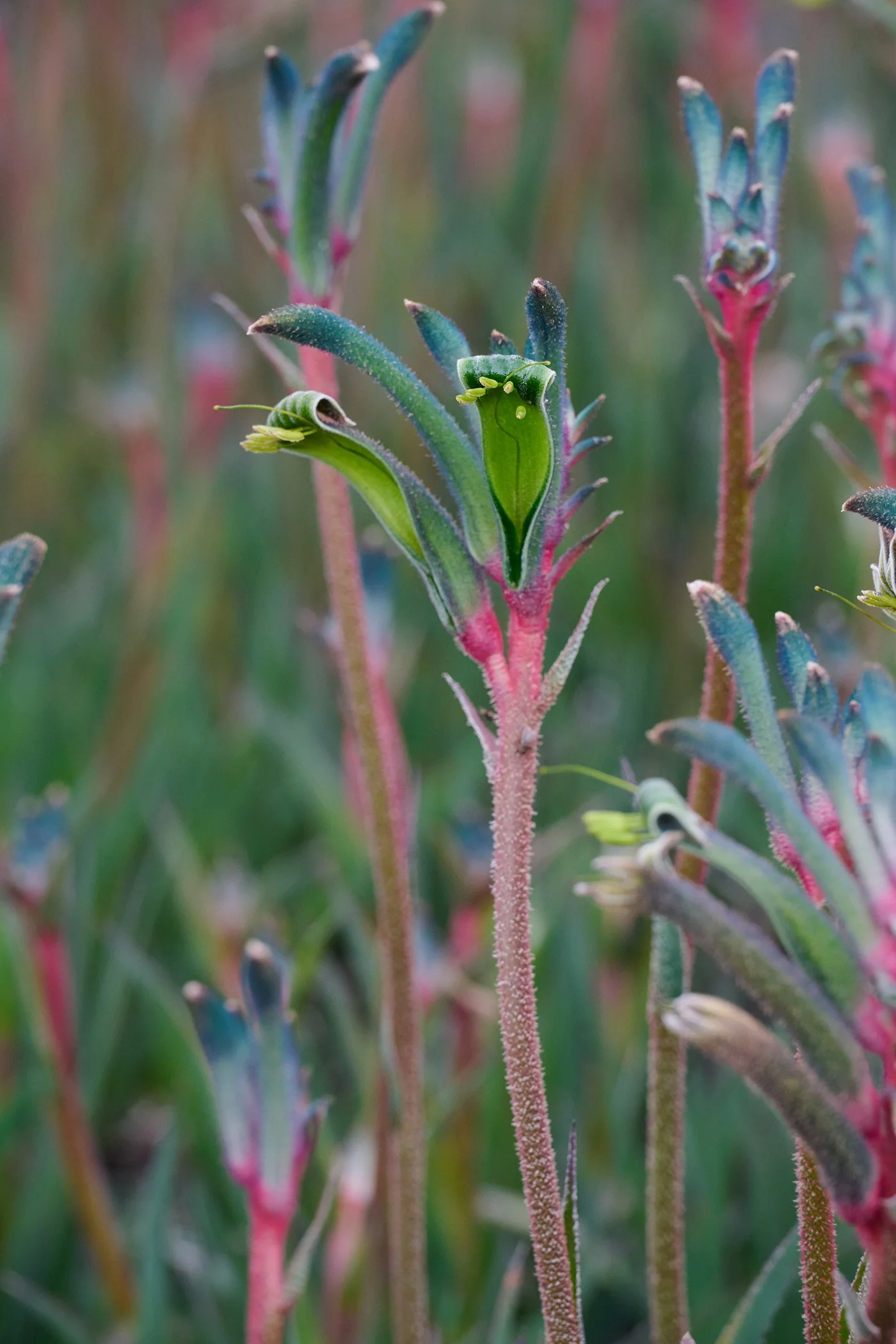 © Monrovia by Brandon Friend-Solis