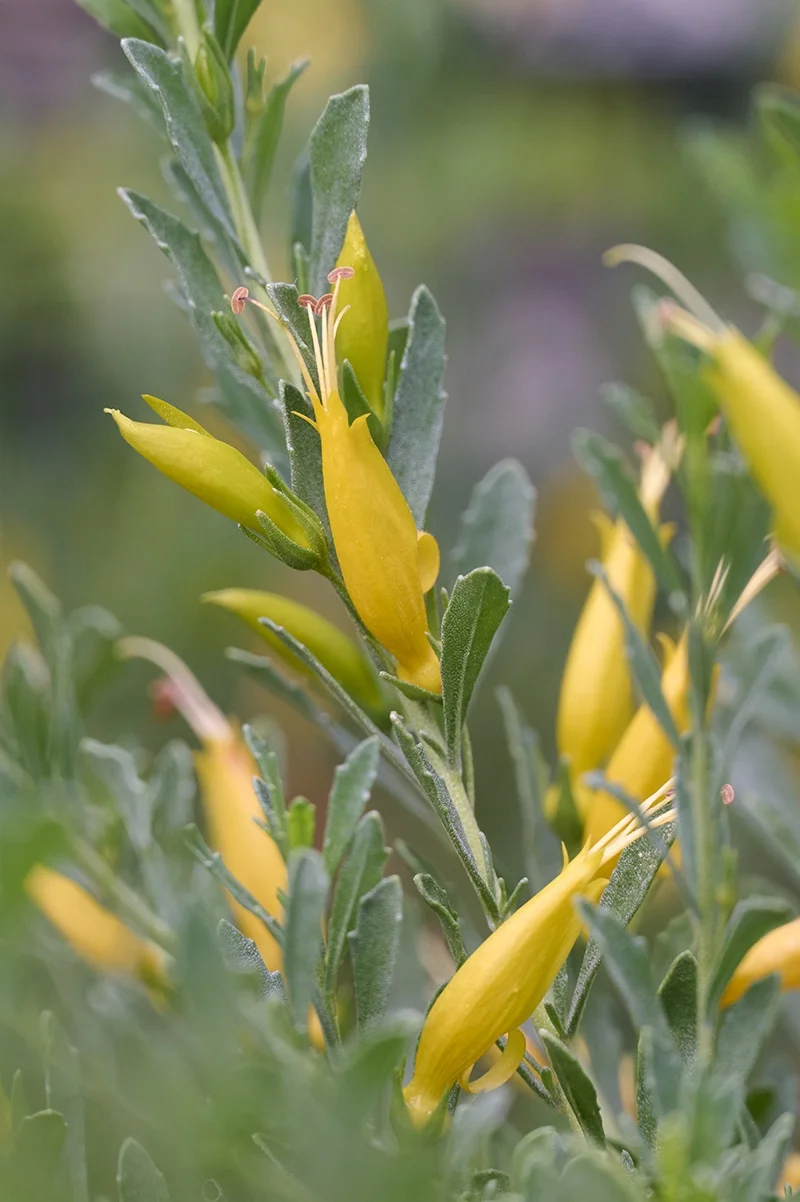 © Monrovia by Brandon Friend-Solis
