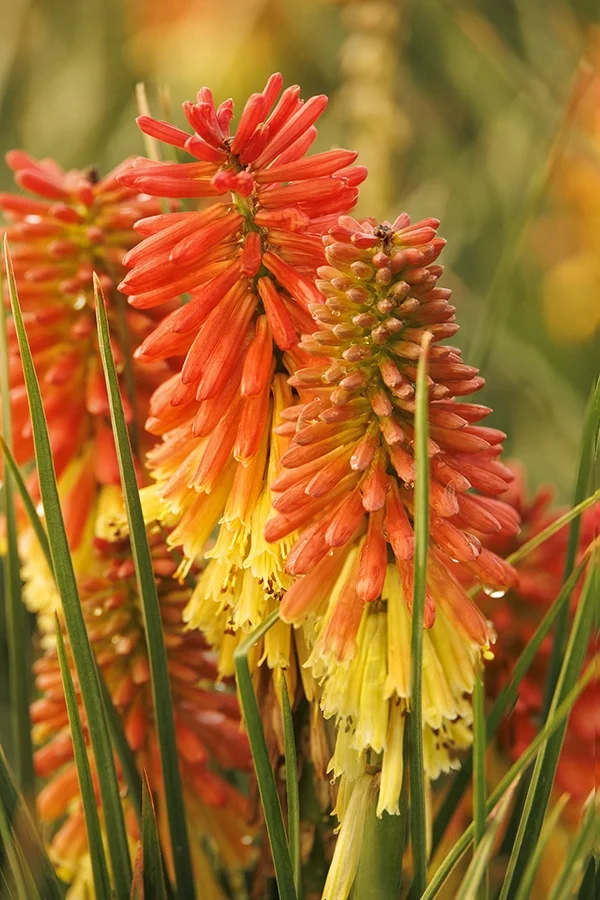 ©Monrovia, by Doreen Wynja