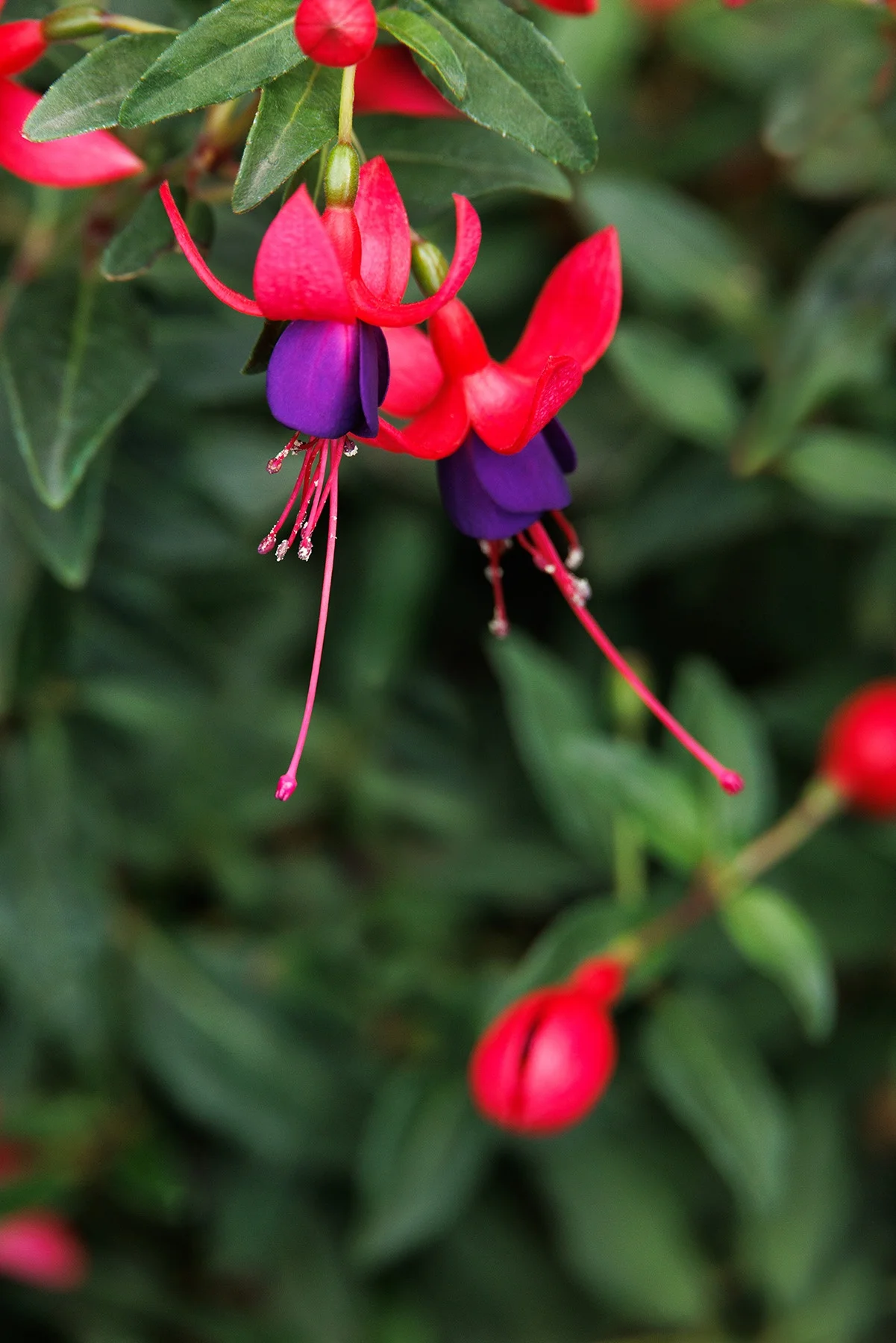 © Monrovia by Doreen Wynja