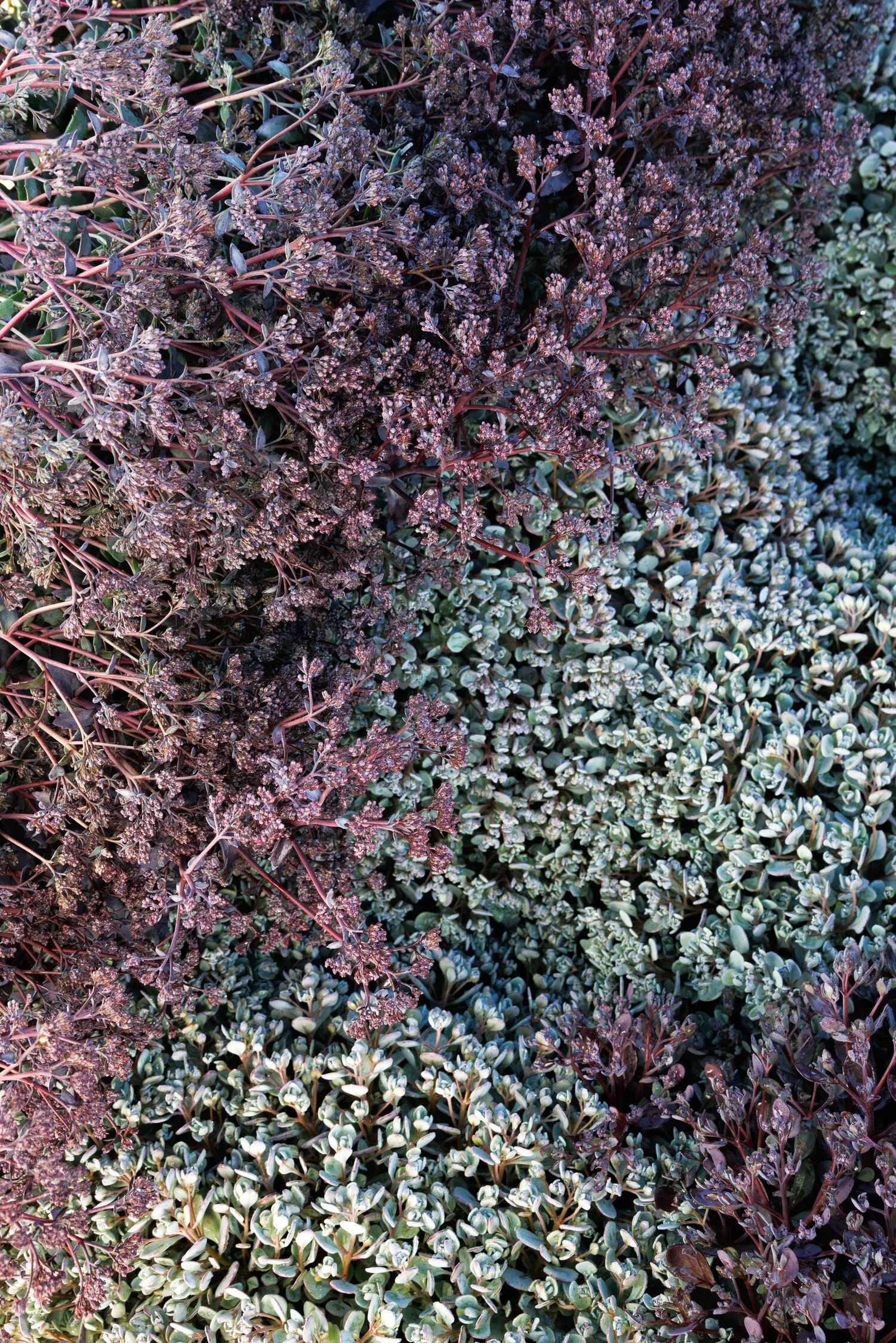 © Monrovia by Doreen Wynja