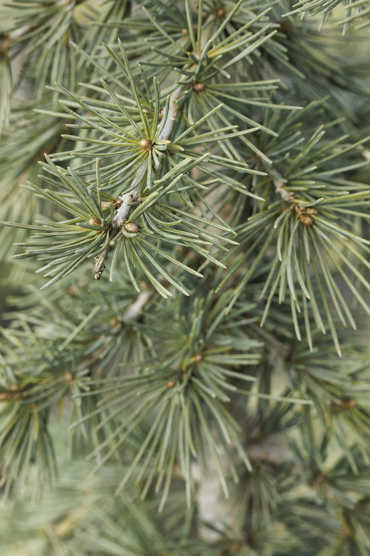 © Monrovia by Doreen Wynja