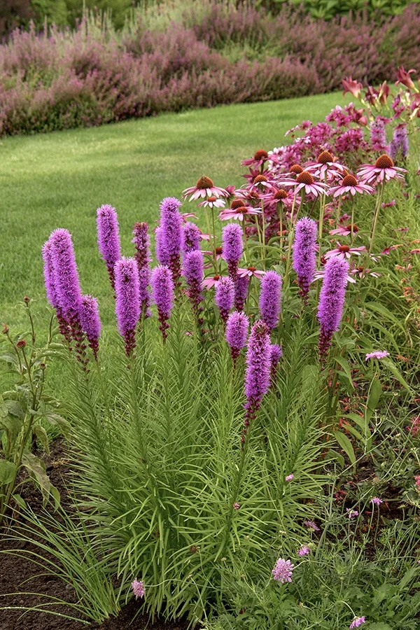 © Doreen Wynja for Monrovia