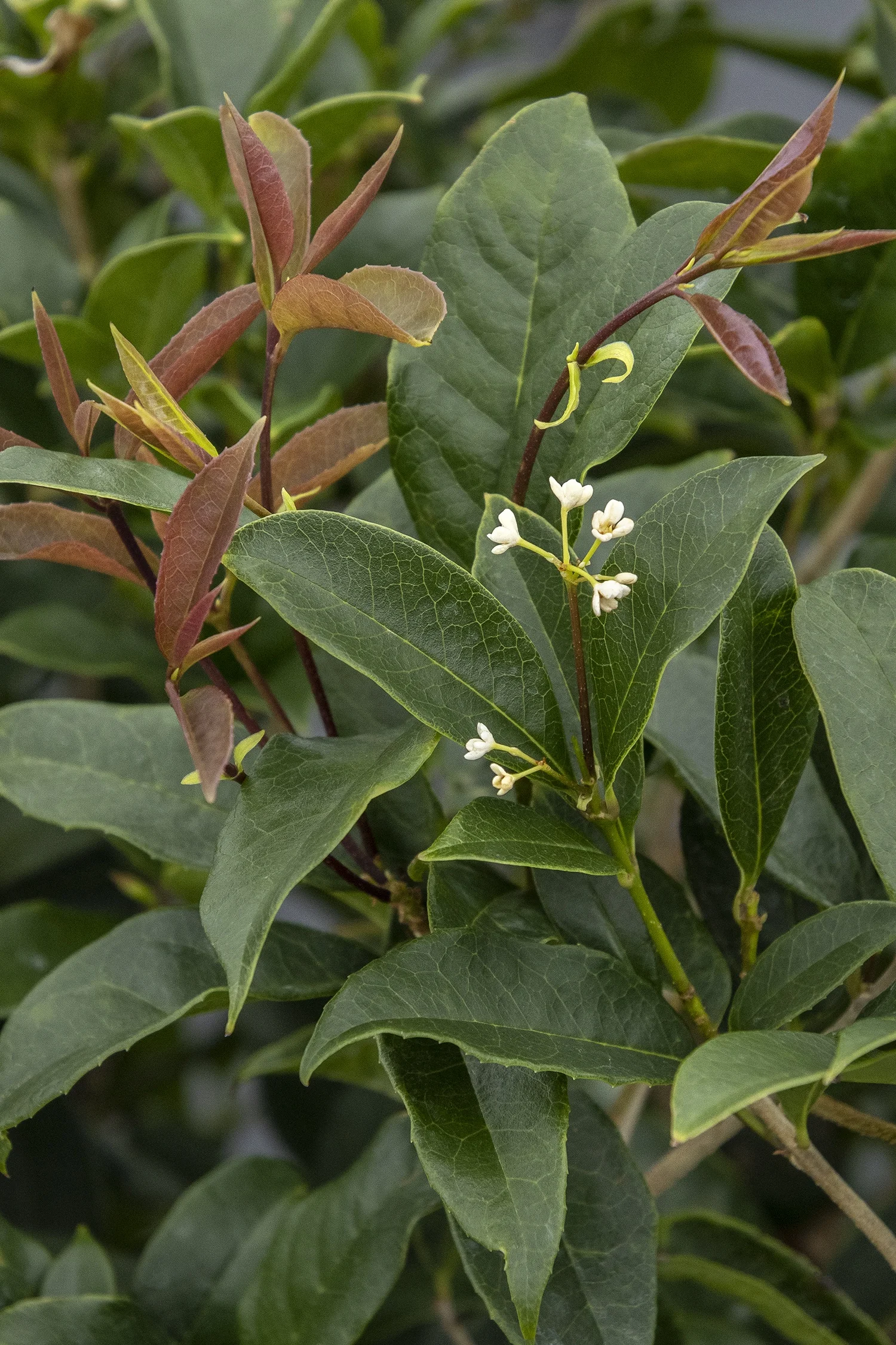 ©Monrovia by Doreen Wynja 