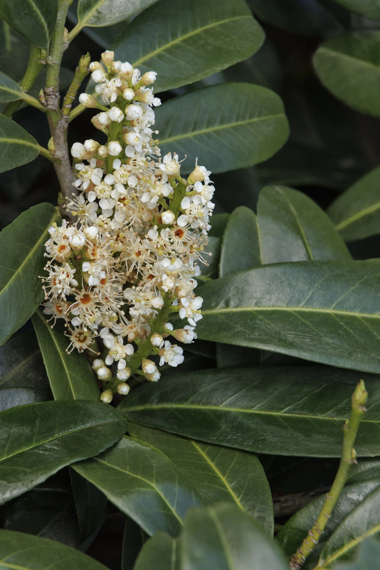 ©Monrovia, by Doreen Wynja