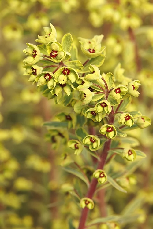 ©Monrovia, by Doreen Wynja