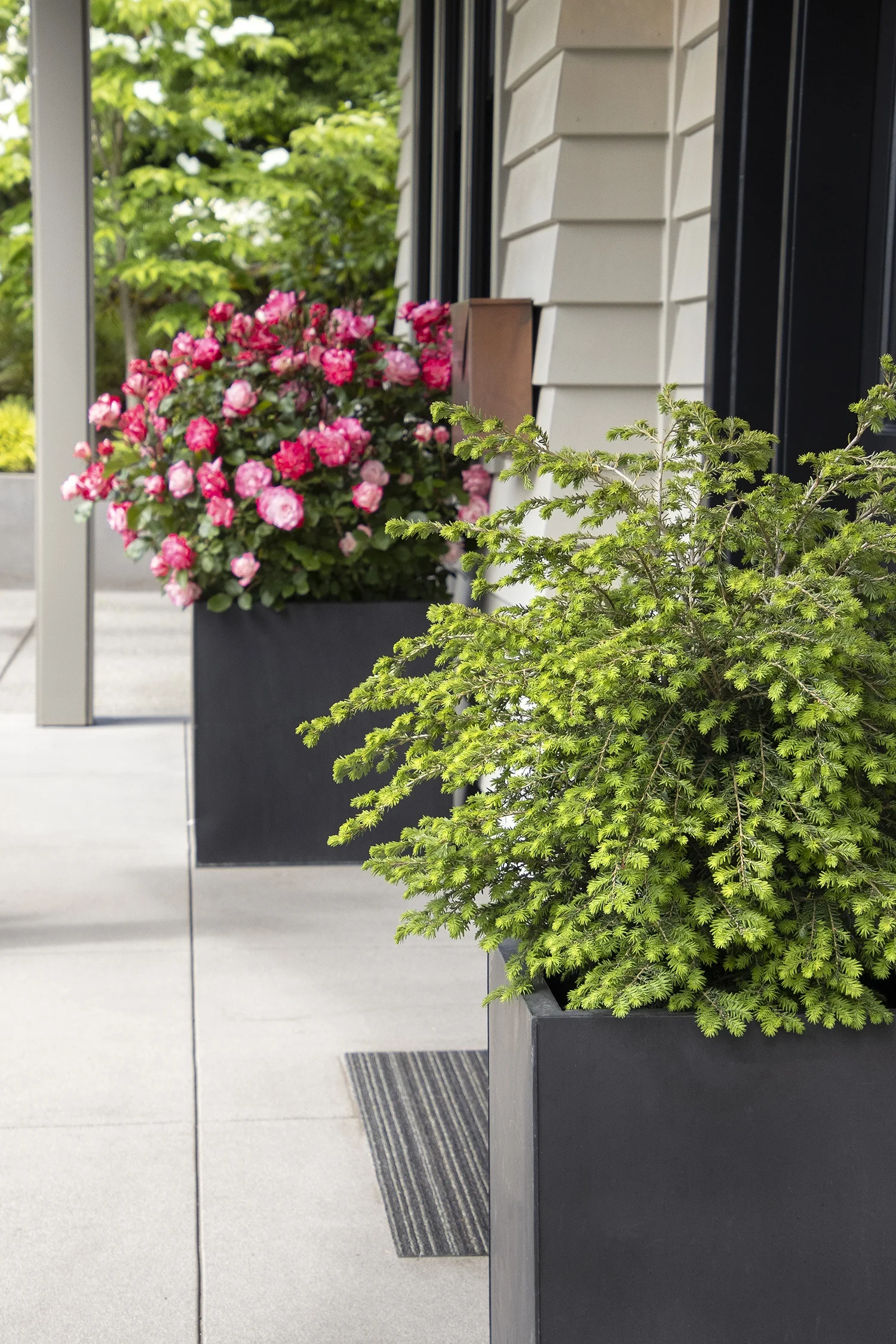 ©Monrovia by Doreen Wynja