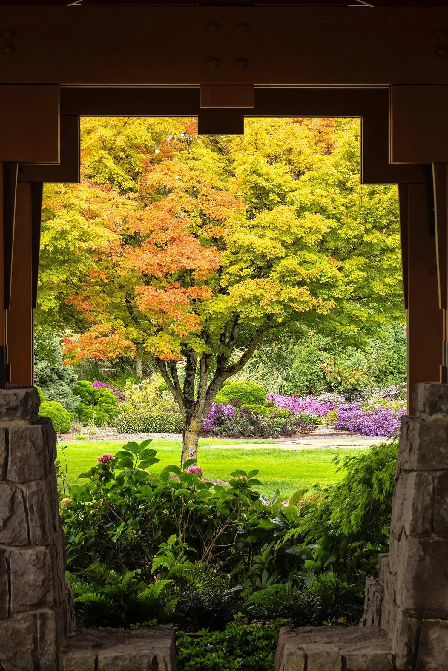 © Monrovia by Doreen Wynja