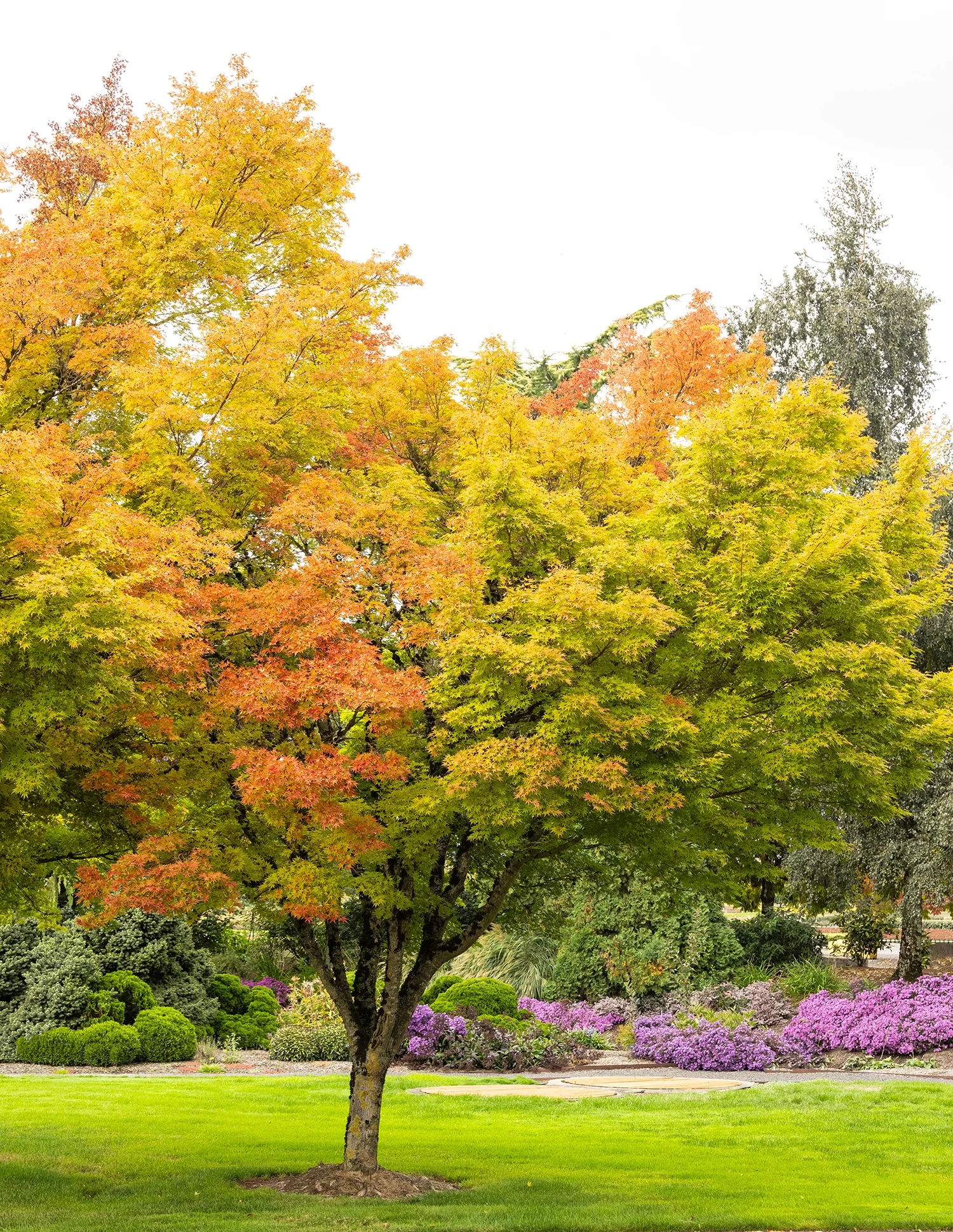 © Monrovia by Doreen Wynja