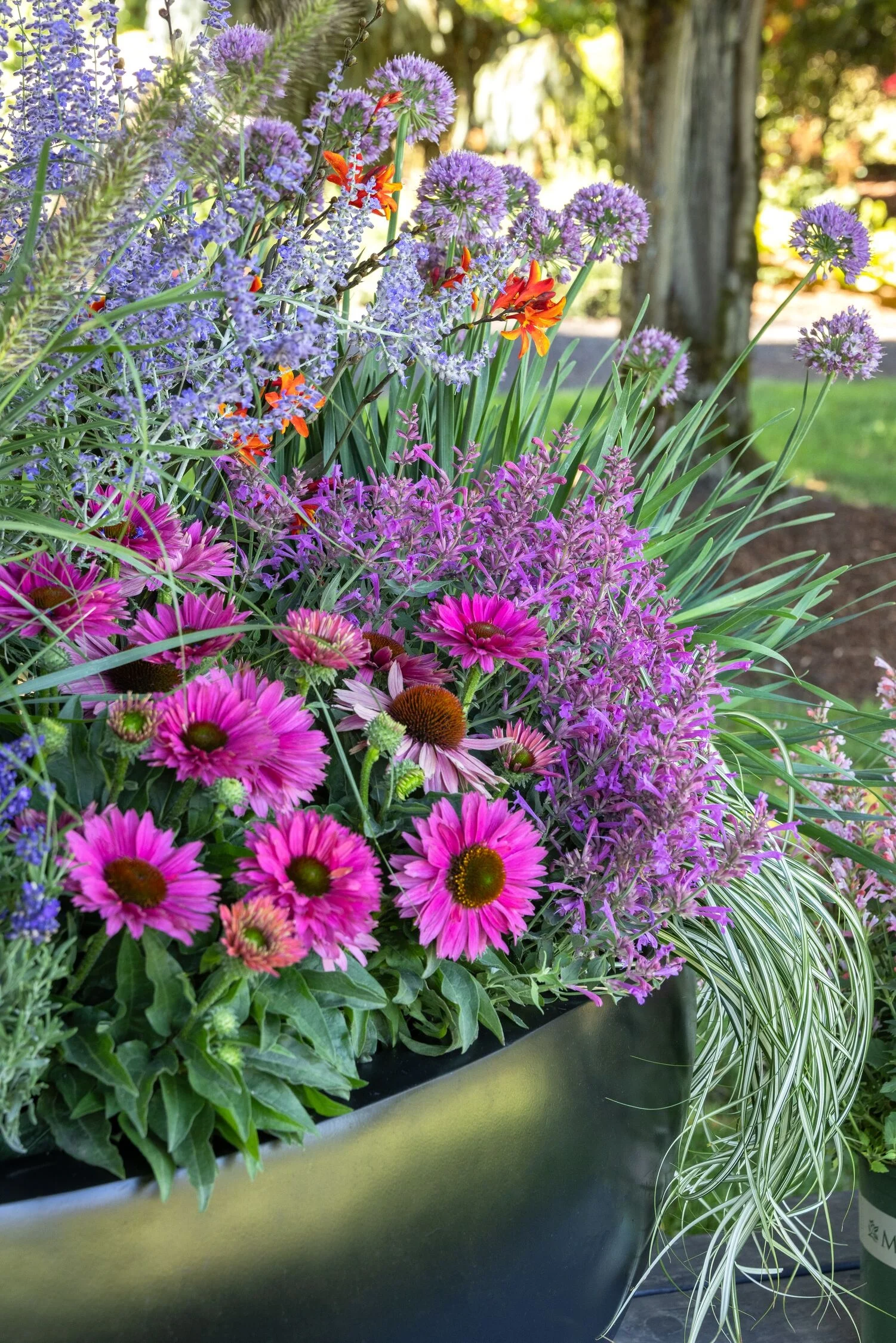 © Monrovia by Doreen Wynja