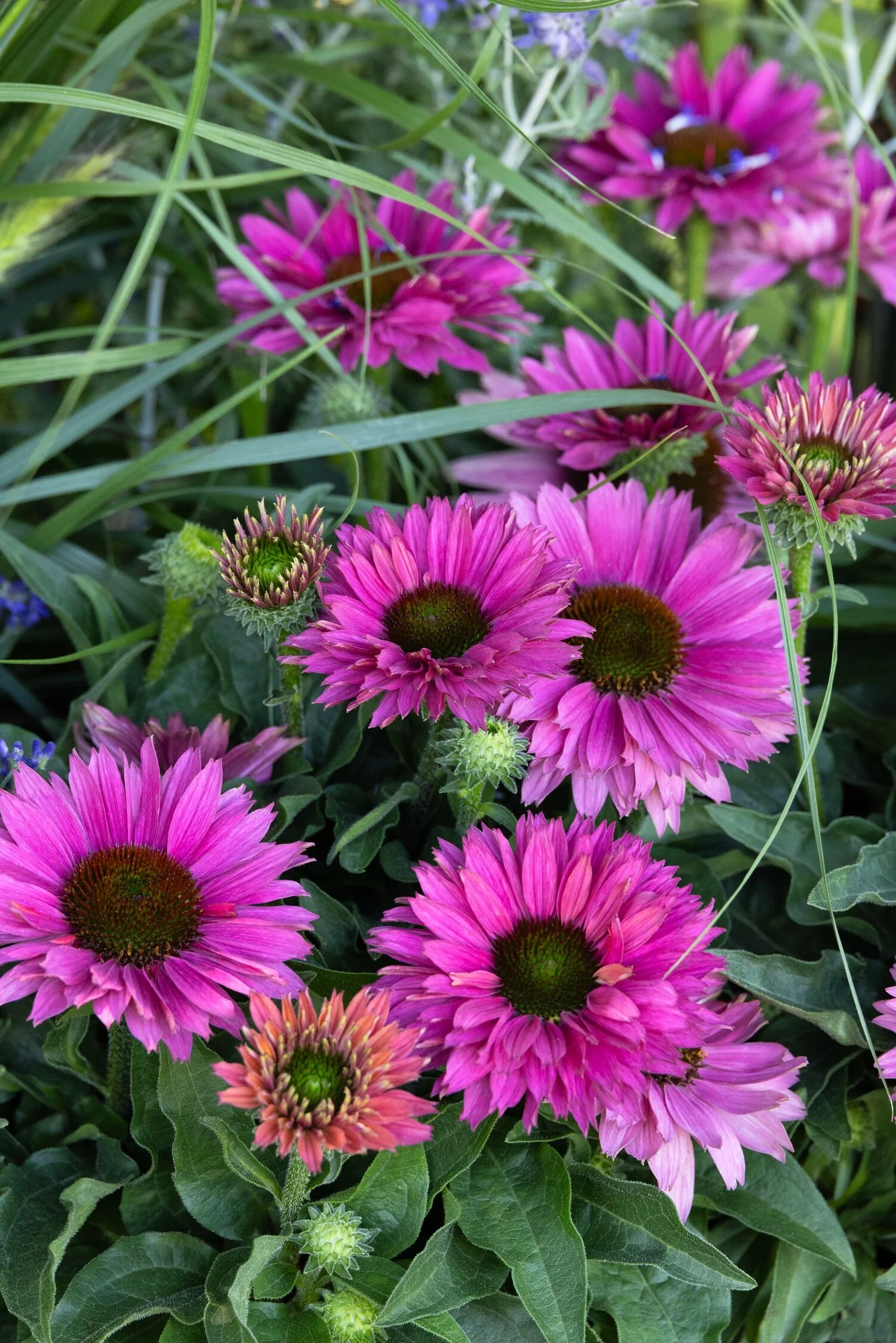 © Monrovia by Doreen Wynja