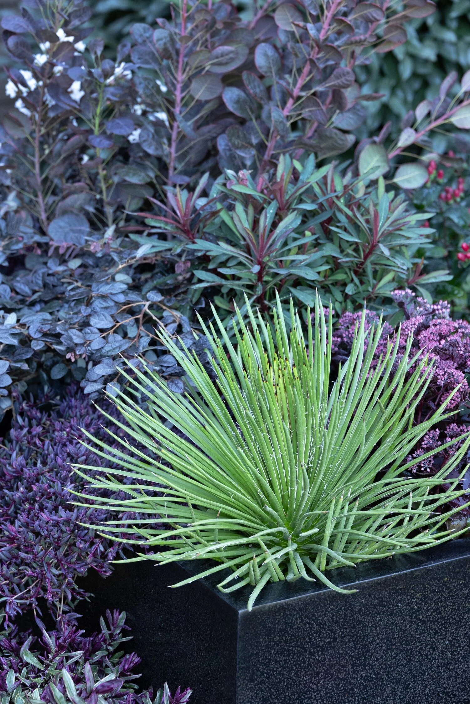 © Monrovia by Doreen Wynja