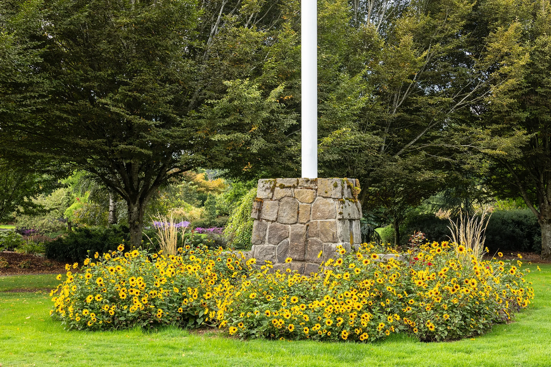 © Monrovia by Doreen Wynja