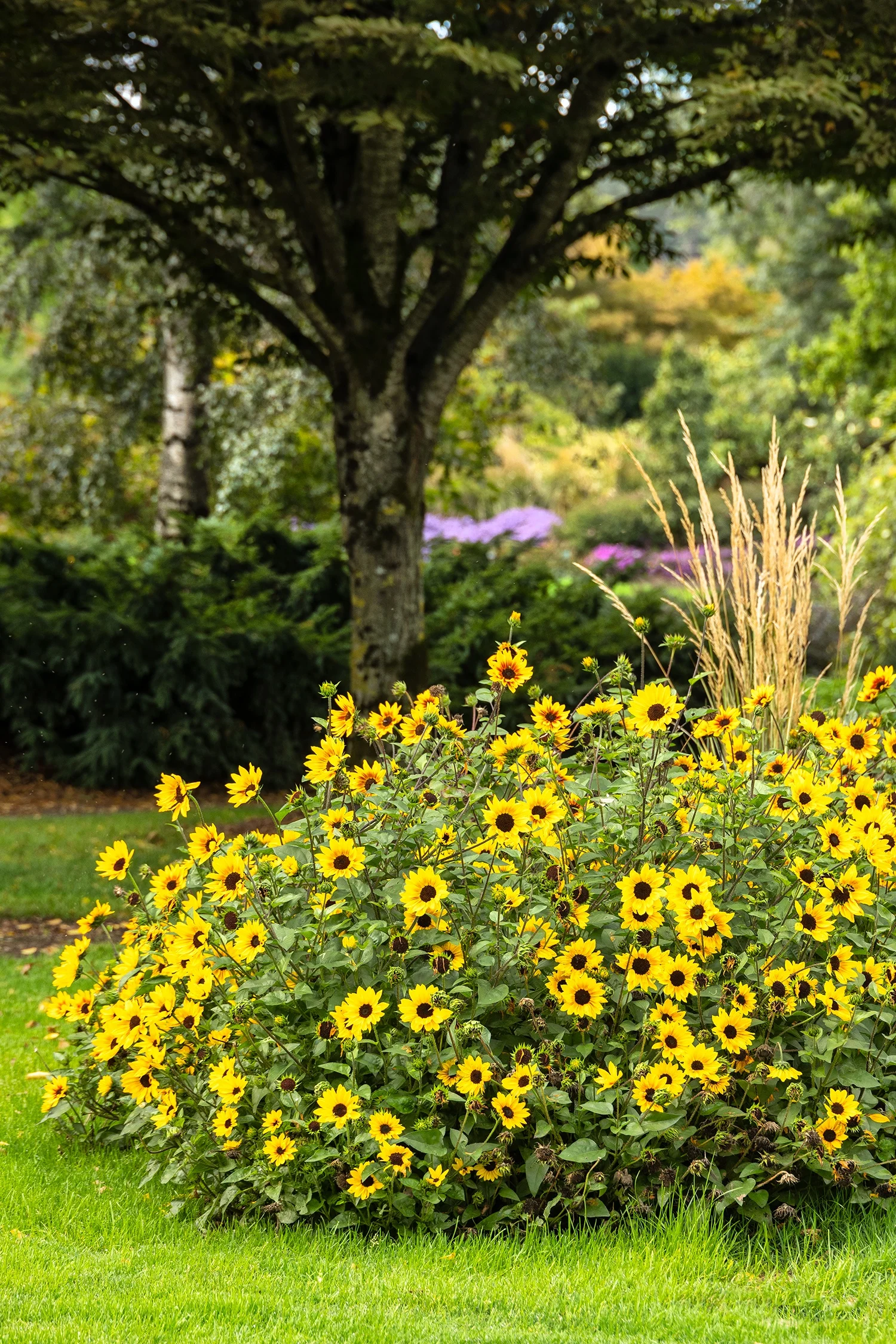 © Monrovia by Doreen Wynja