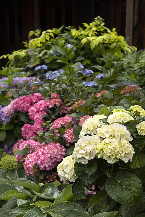 ©Monrovia, by Doreen Wynja