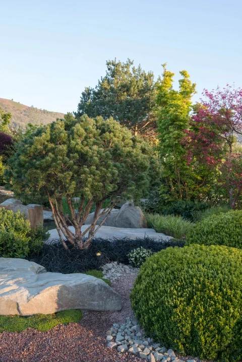 GAP/H.Edward/Design-P.Dowle, R.Jasper