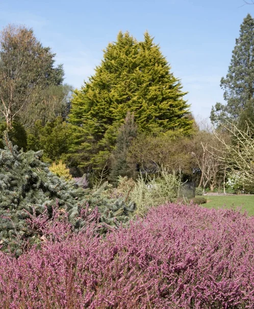 Matt Anker / GAP Photos