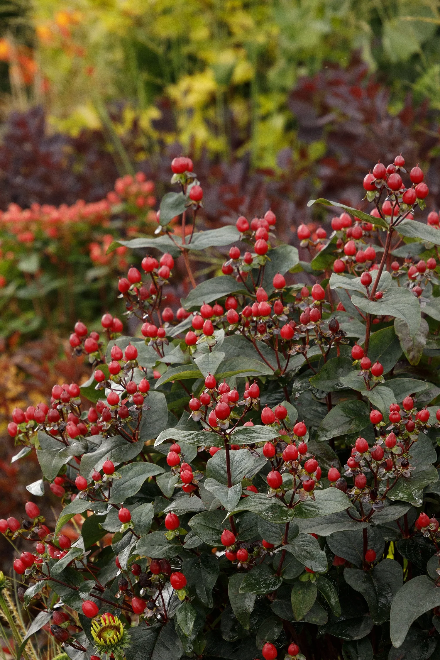 {{#169}}Monrovia, by Doreen Wynja