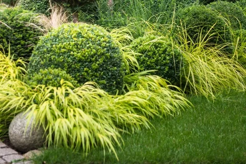 GAP / Joanna Kossak/design: D. Mlozniak