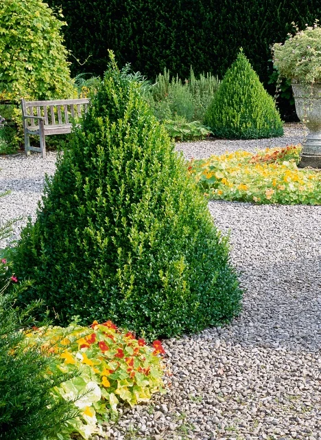 Suzie Gibbons / GAP Photos