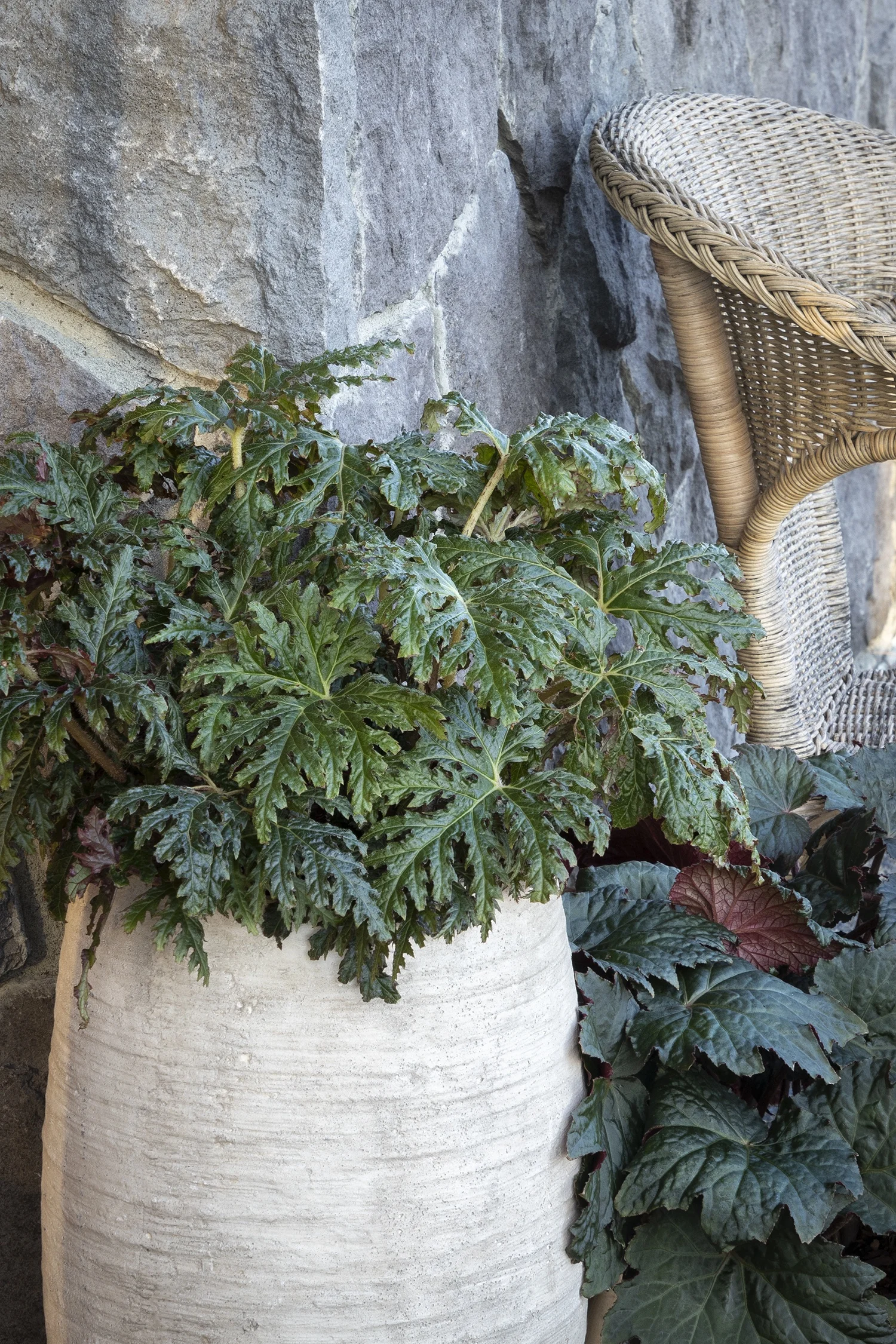 Monrovia; by Doreen Wynja