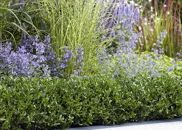 PlantTipp BV{{#174}}