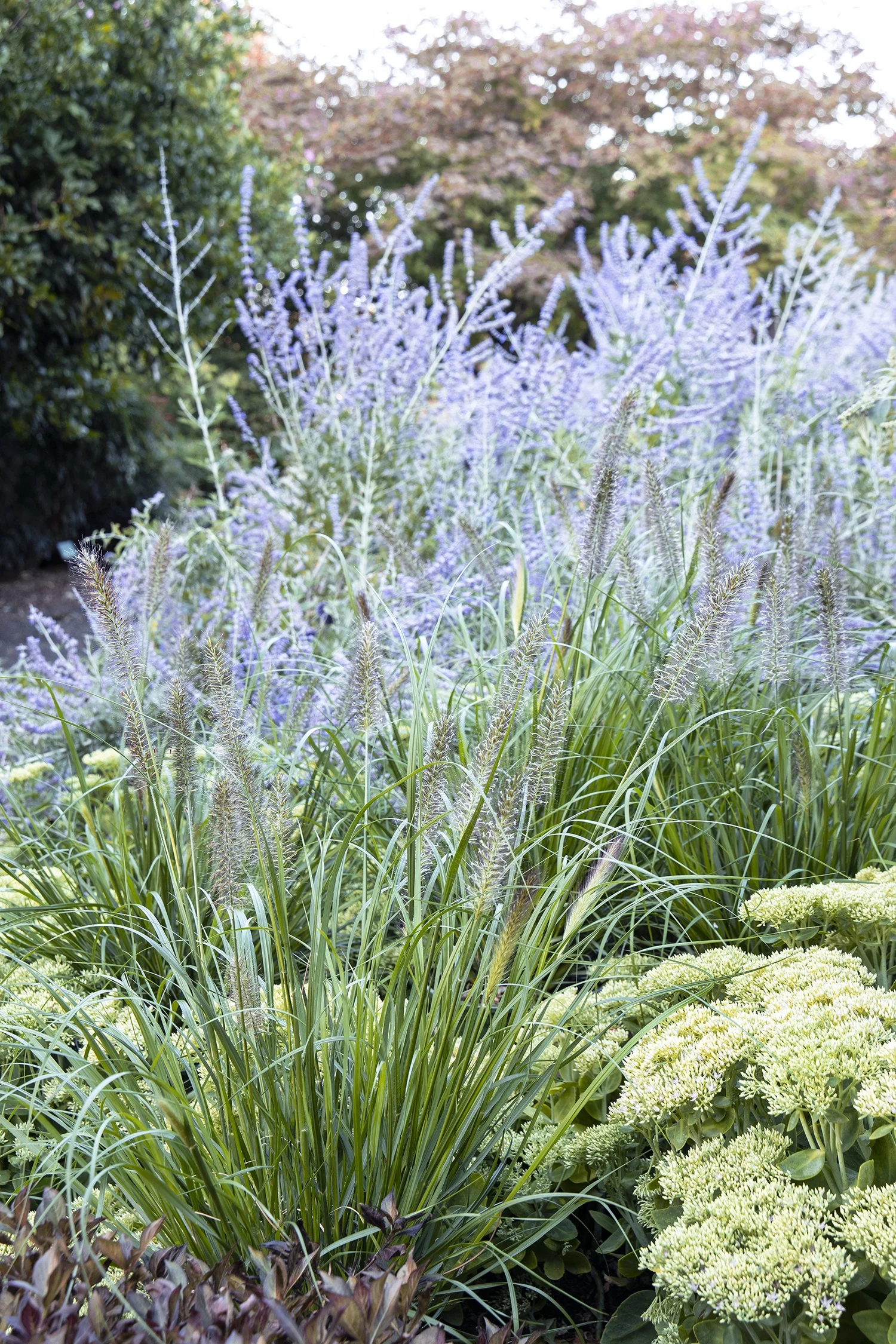 Monrovia; by Doreen Wynja