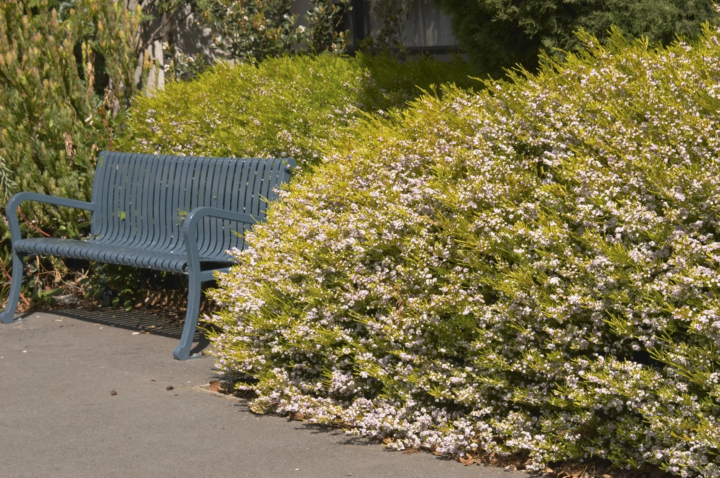 Country Farm & Garden