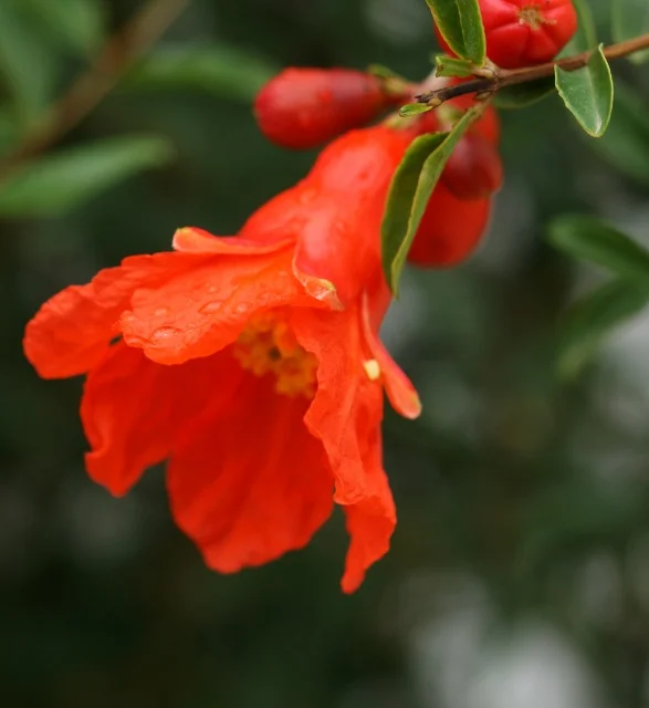 Danish Khan /iStock-Getty Images