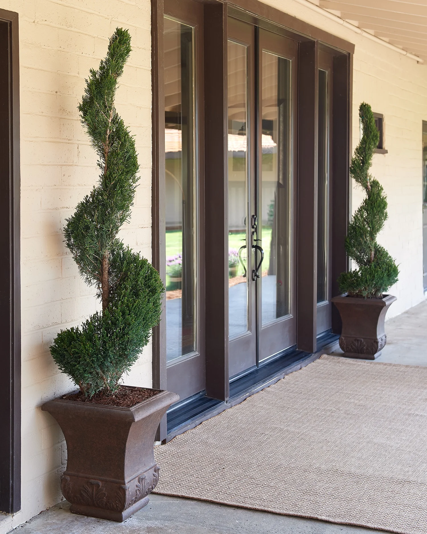 Brandon Friend-Solis