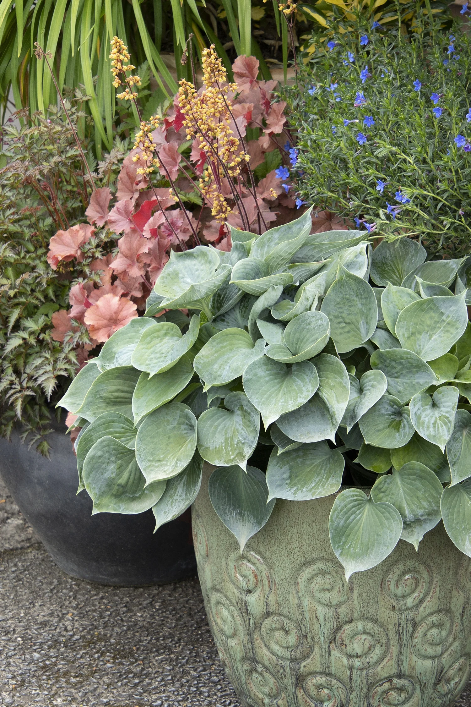 Monrovia; by Doreen Wynja