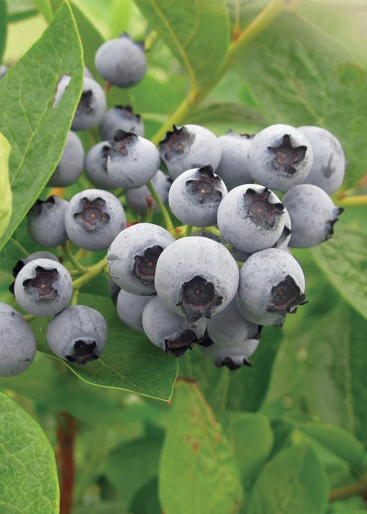 Tim Ludwig - Millette Photomedia