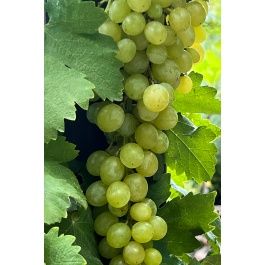 20220909_183744964_ios_edit2_c