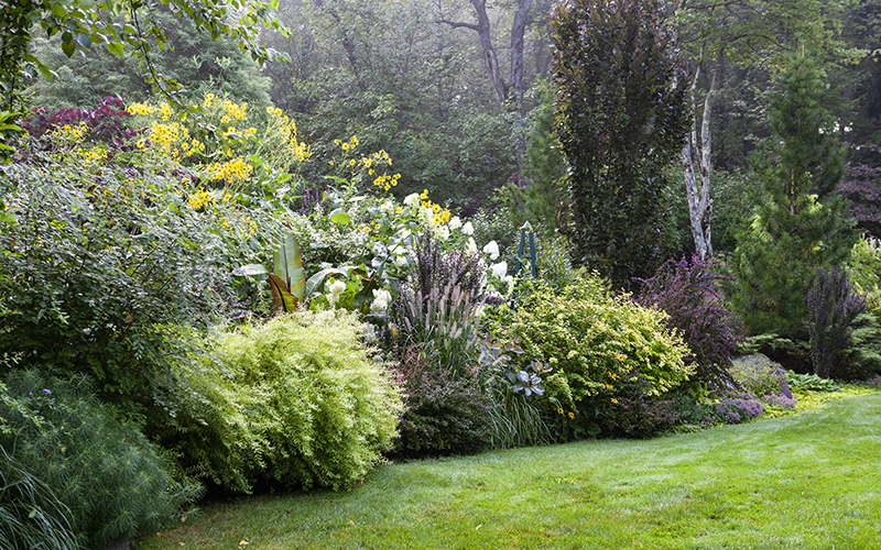 green grass in foreground with layers of shrubs and flowers in background