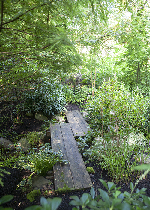 planks are laid on the ground to make a stream crossing