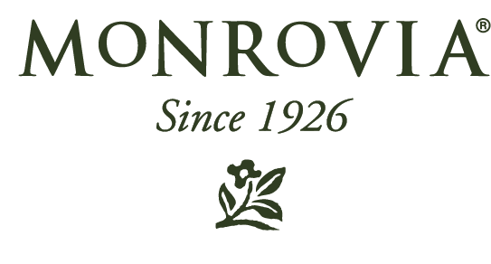 Monrovia | Since 1926