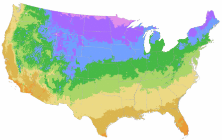 USDA Cold Hardiness Zone Map