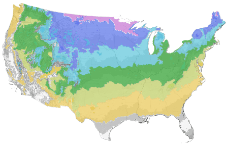 USDA Cold Hardiness Zone Map