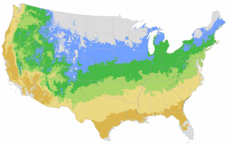 USDA Cold Hardiness Zone Map