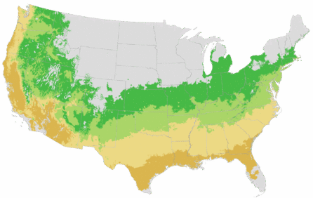 USDA Cold Hardiness Zone Map