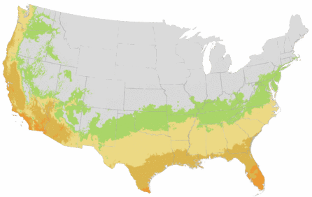 USDA Cold Hardiness Zone Map